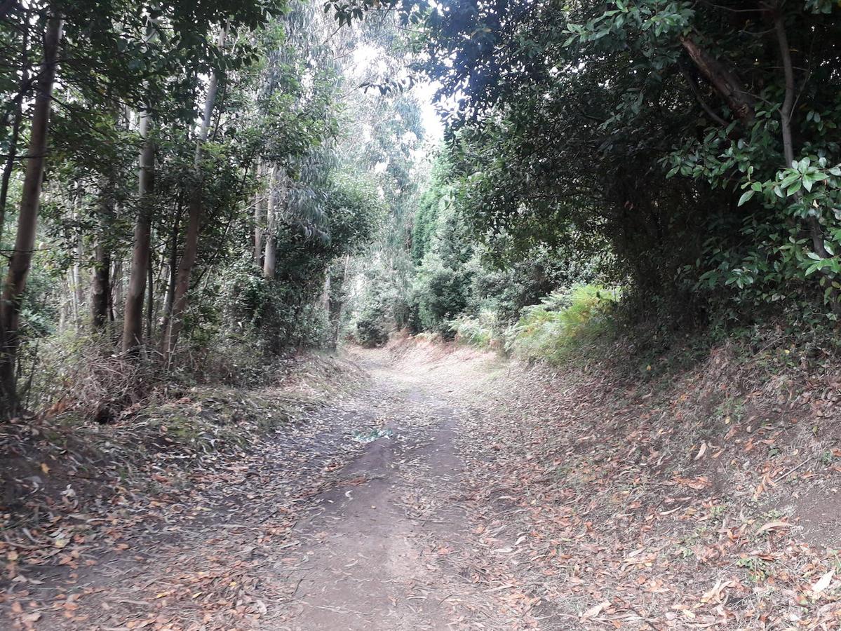 Fotos: Una caminata hasta las Trincheras de Ranón y su imponente mirador