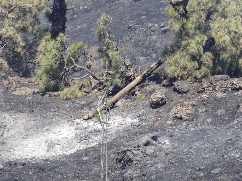 El incendio que desde el viernes afecta a la isla canaria se encuentra en fase de consolidación del perímetro, que abarca unas 1.200 hectáreas, tras una noche dura con condiciones meteorológicas adversas. Las brigadas se enfrentan este domingo a horas críticas para evitar que se reactiven los puntos calientes.