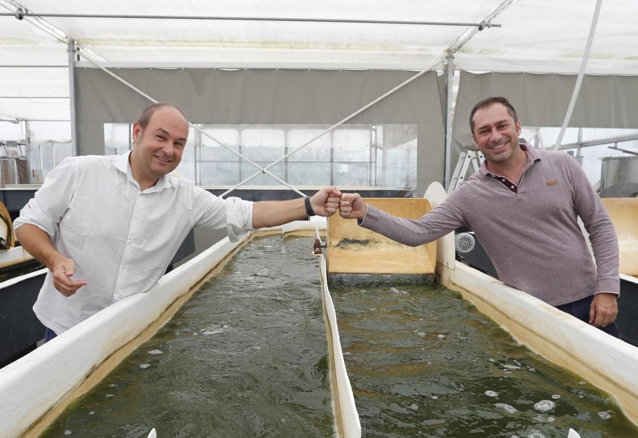 Fidel Delgado e Ignacio Albert, en las instalaciones de la planta de Lloreda, en Gijón. 