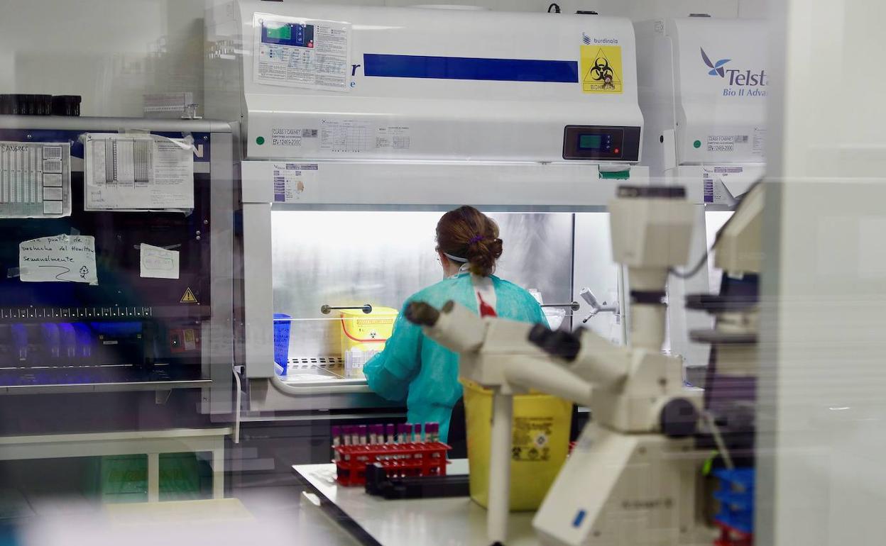 Una técnica sanitaria trabaja en el laboratorio del HUCA.