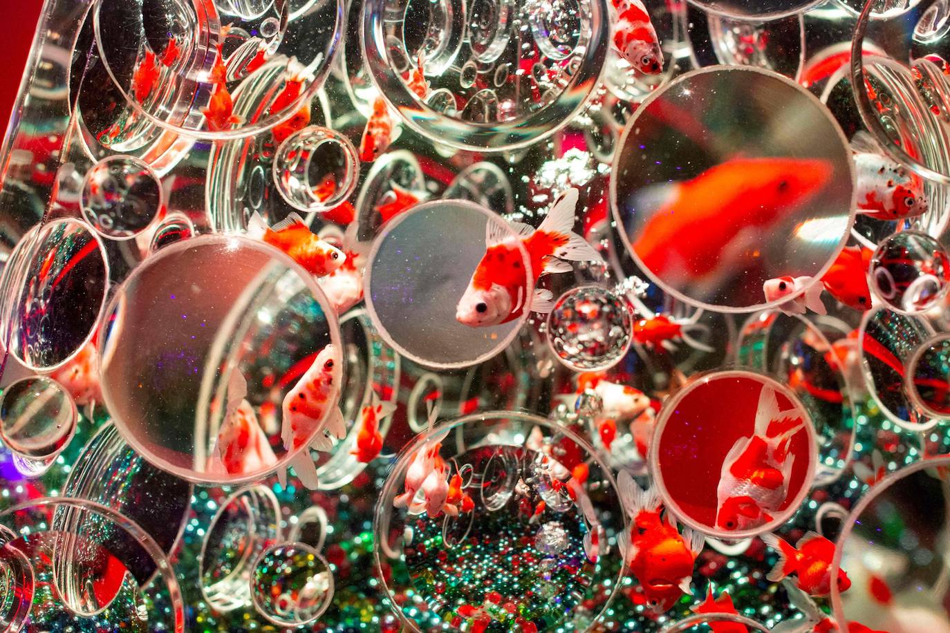 'Reflecterium' es una exposición que tiene lugar una vez al año y es una de las más populares durante el verano de la capital nipona y se ha ganado el cariño de sus habitantes debido a esa mezcla de cultura tradicional con juegos de luces y hasta aromas.