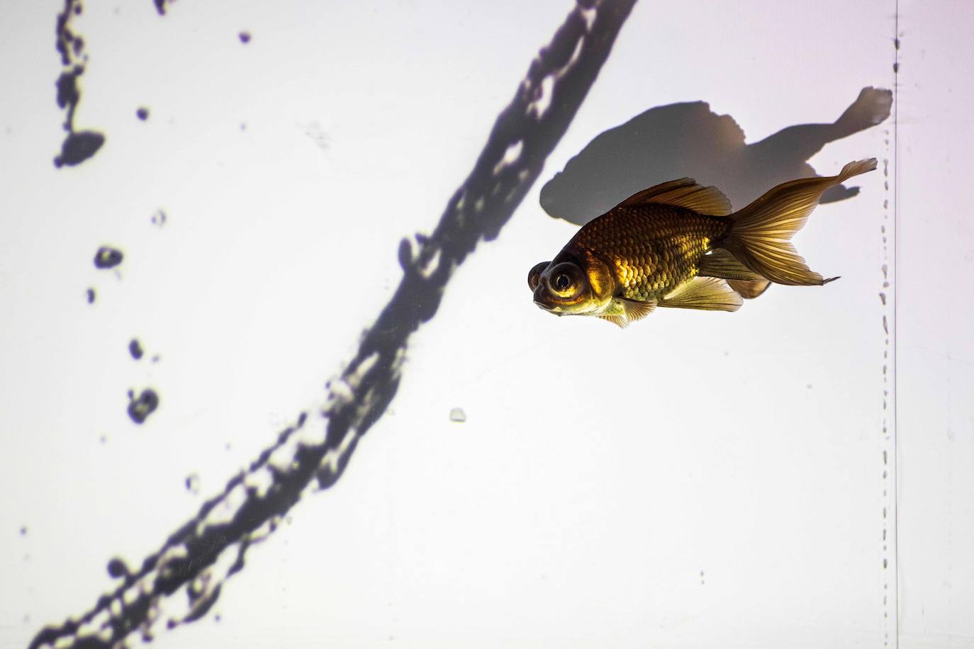 'Reflecterium' es una exposición que tiene lugar una vez al año y es una de las más populares durante el verano de la capital nipona y se ha ganado el cariño de sus habitantes debido a esa mezcla de cultura tradicional con juegos de luces y hasta aromas.