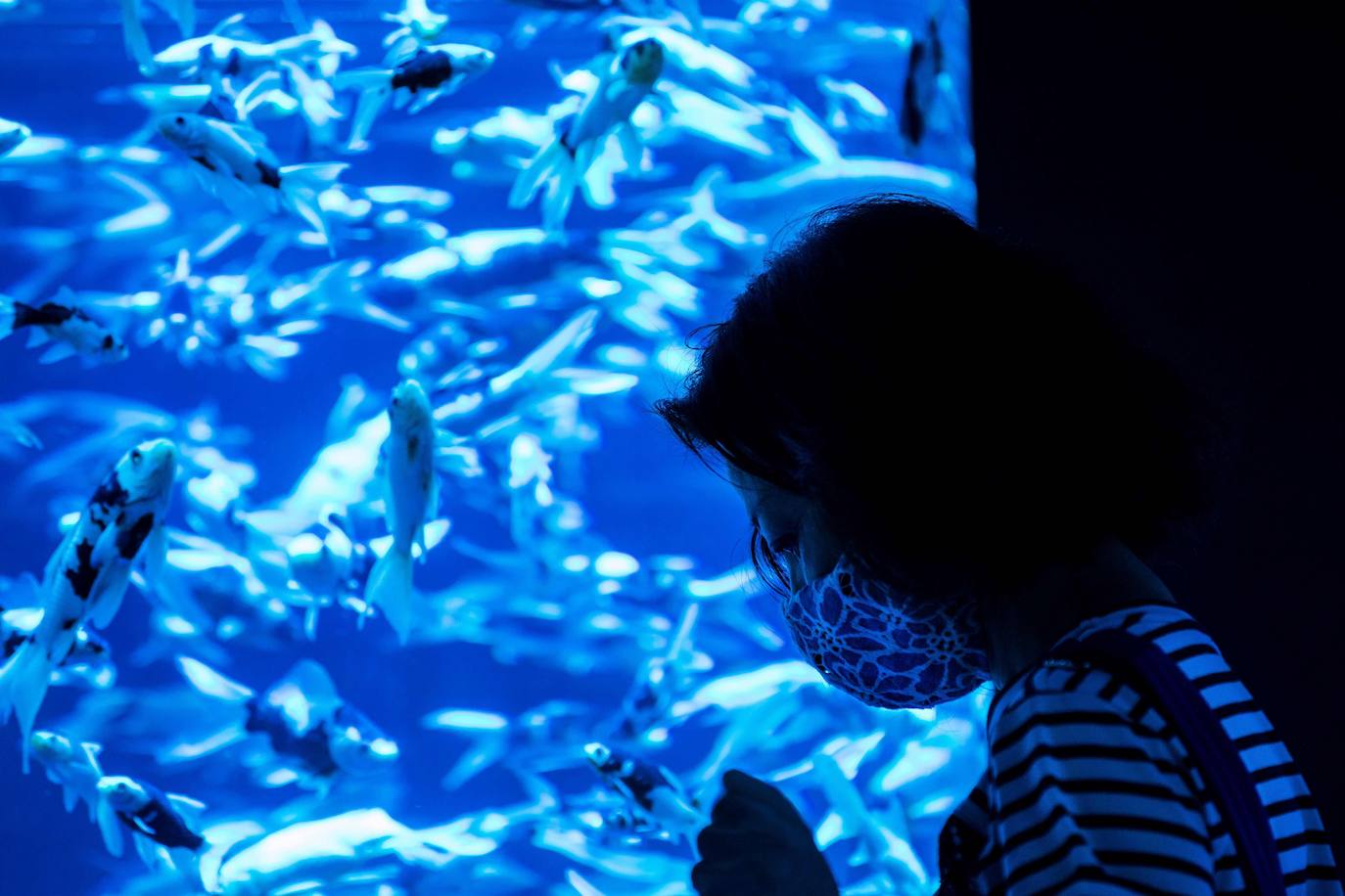 'Reflecterium' es una exposición que tiene lugar una vez al año y es una de las más populares durante el verano de la capital nipona y se ha ganado el cariño de sus habitantes debido a esa mezcla de cultura tradicional con juegos de luces y hasta aromas.