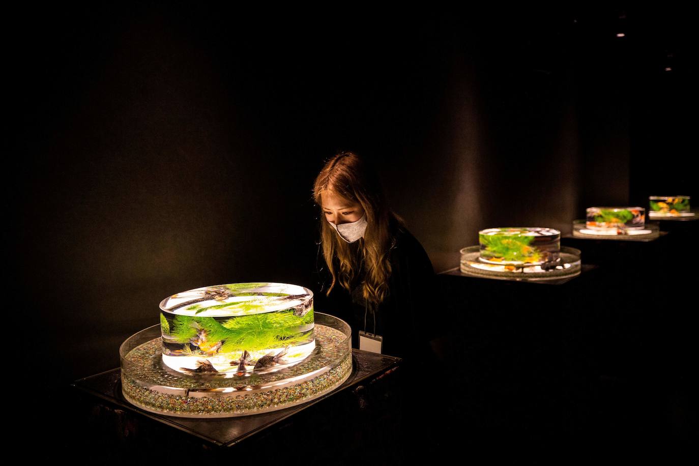 'Reflecterium' es una exposición que tiene lugar una vez al año y es una de las más populares durante el verano de la capital nipona y se ha ganado el cariño de sus habitantes debido a esa mezcla de cultura tradicional con juegos de luces y hasta aromas.