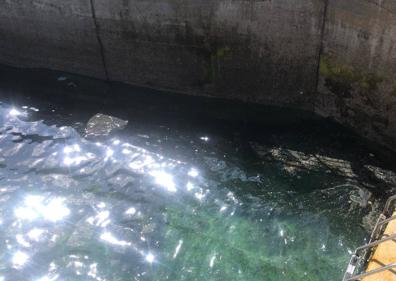 Imagen secundaria 1 - Una mancha de gasóleo obliga a cerrar al baño la playa entre San Pedro y la escalera 9