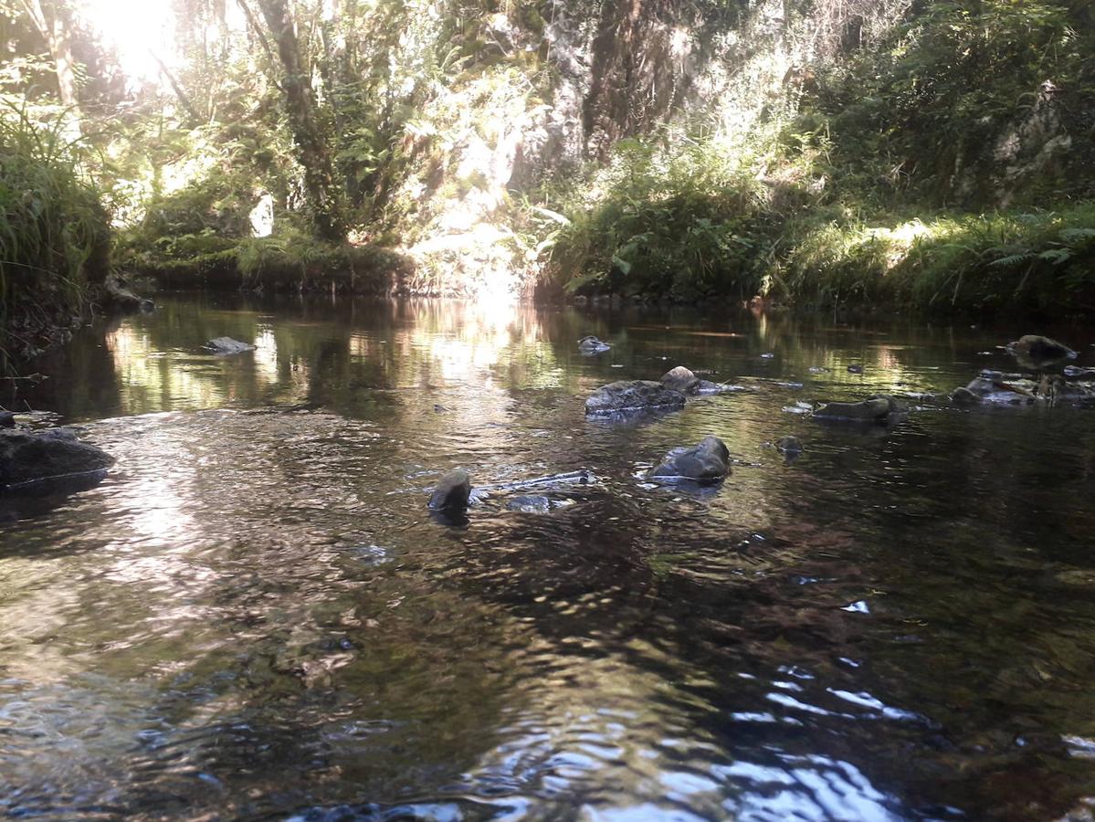 Fotos: Ruta de los Covarones del río Tuernes