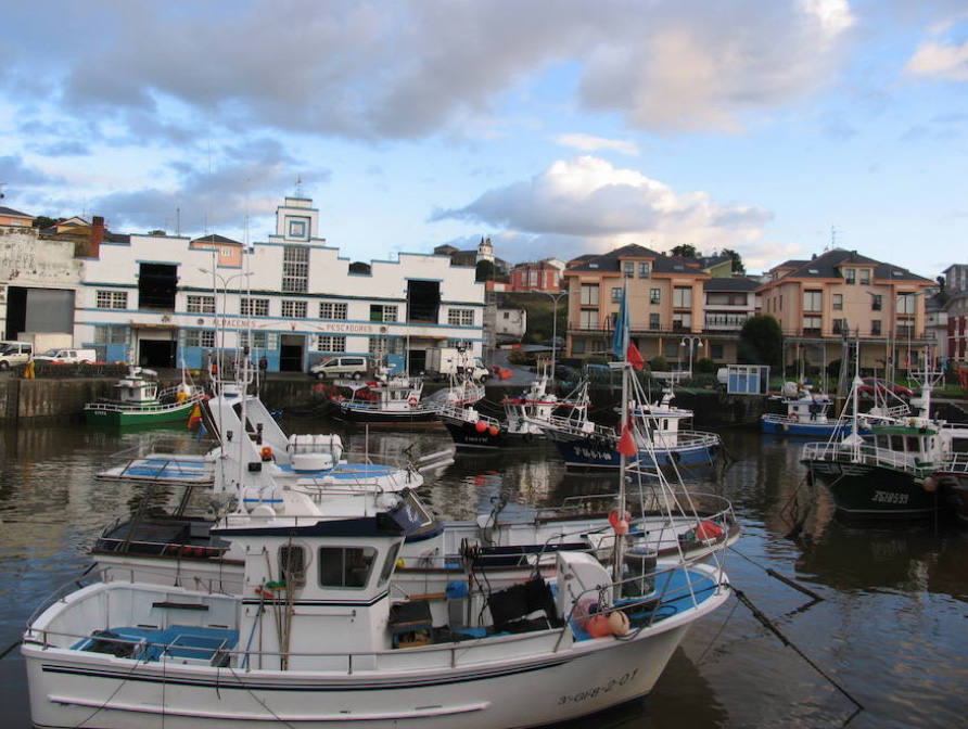 La villa marinera de Puerto de Vega, en el concejo de Navia, recibió el galardón en el año 1995.