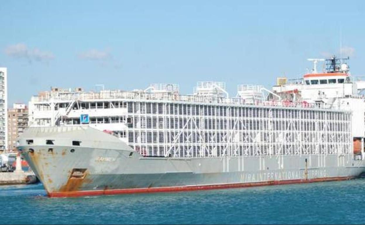 El buque Gulf Livestock 1