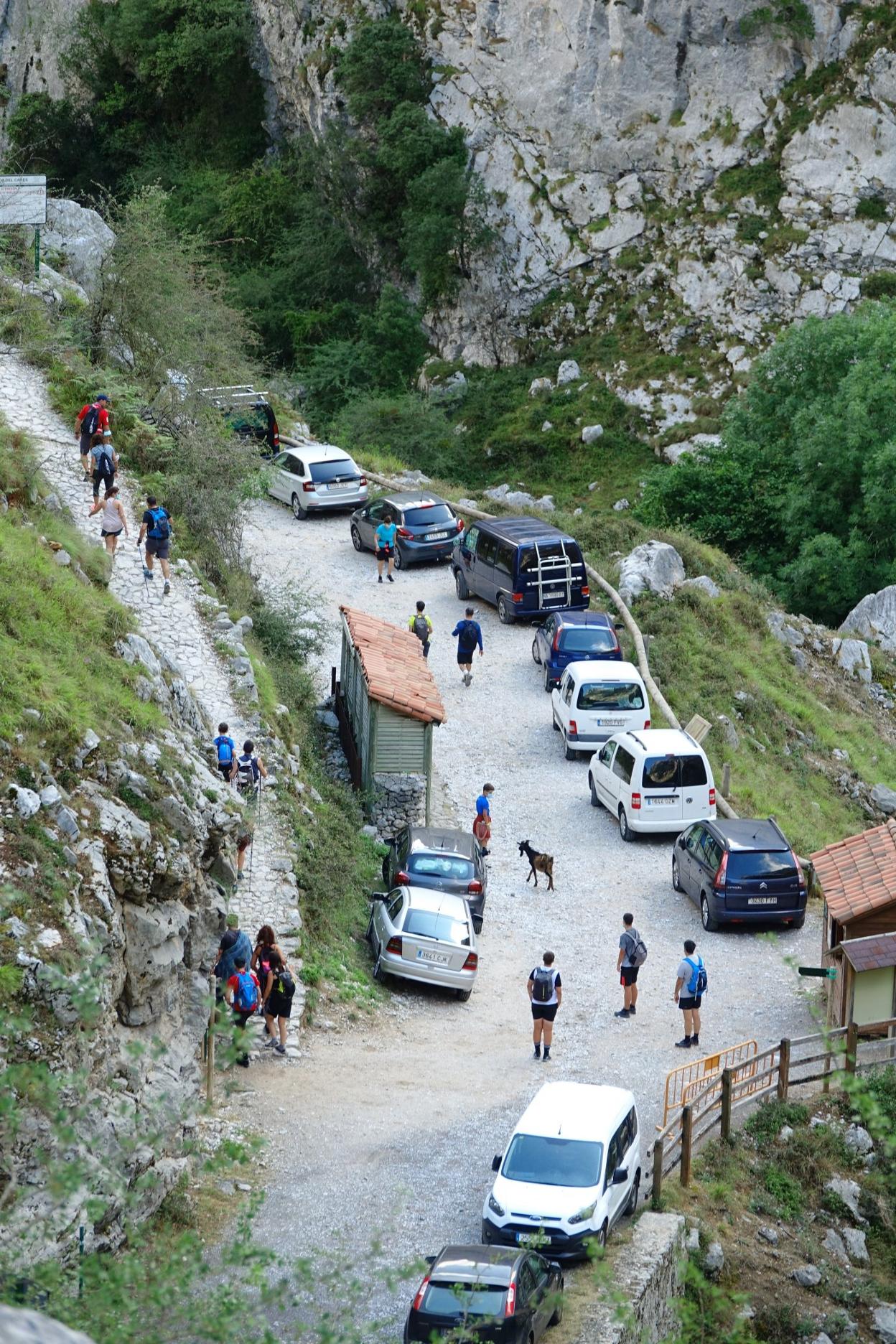 Coches estacionados en el acceso a la ruta del Cares, en Poncebos, durante este verano. 