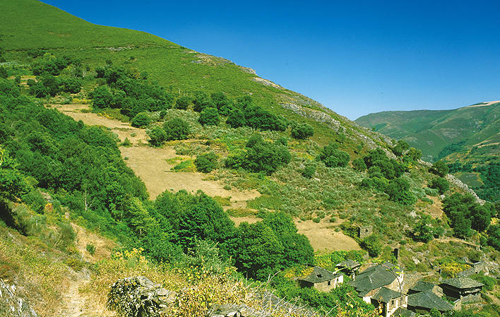 Incluido en el Paisaje Protegido de las Sierras de Carondio y Valledor, en el concejo de Allande, está el alcornocal de Boxo, Monumento Natural desde 2002. El decreto recoge que este tipo de bosques “son poco frecuentes en el norte de España” y que esta es, “sin duda, la mayor y mejor conservada masa de alcornoques de Asturias”, amenazada por los incendios forestales que periódicamente asolan esta zona.