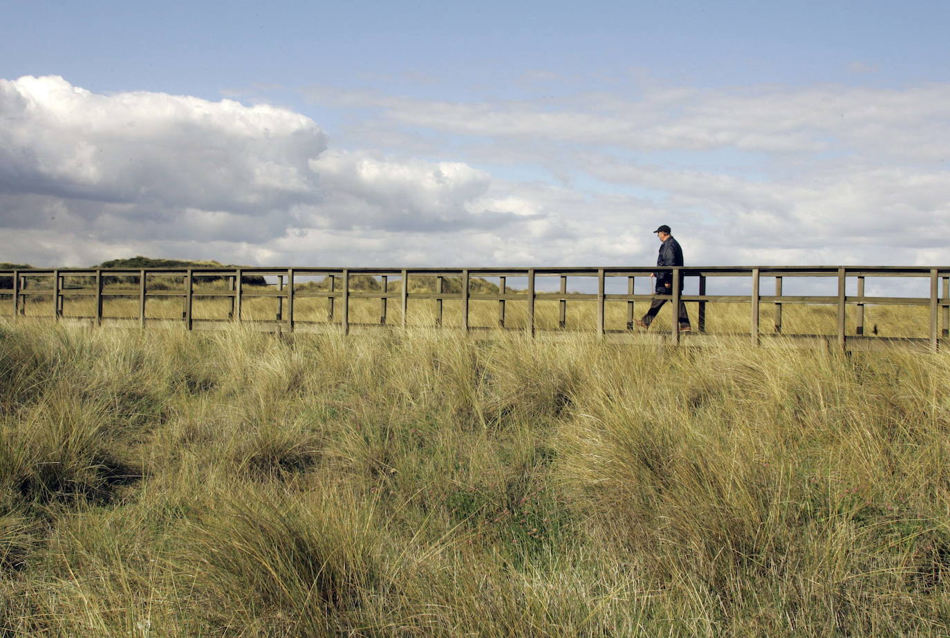 En la playa de El Espartal, en Castrillón, existía el “más extenso campo dunar de Asturias, que penetraba hacia el interior casi un kilómetro hasta alcanzar el valle de Raíces, tras el cual se alzan los acantilados jurásicos de Pinos Altos que delimitan la rasa sobre la que se sitúa Avilés”. Sin embargo, a lo largo de los dos últimos siglos, el desarrollo de la localidad de Salinas y la expansión económica de Avilés “han rodeado el arenal de un entorno urbano e industrial en continuo crecimiento que ha restado progresivamente espacio al sistema dunar”. Con todo, el decreto del año 2006 constata que el enclave presenta "un primer cordón muy evidente, de hasta quince metros de altura, tras el que se sitúa un extenso campo dunar en el que difícilmente se reconocen los sucesivos cordones adosados”.