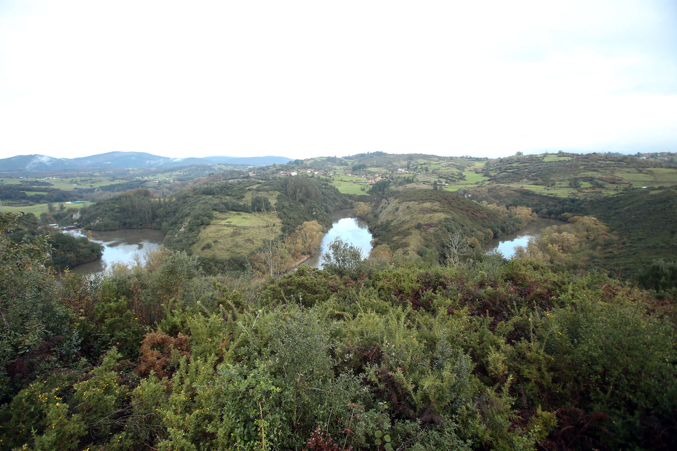 “Sin duda, los meandros encajados que el río Nora forma a su paso por el pueblo de San Pedro de Nora y hasta su unión con el Nalón, en el embalse de Priañes, constituyen una formación hidrogeológica de notable singularidad y rareza”. Así se presenta este Monumento Natural que limita Oviedo y Las Regueras. Además de destacar por la diversidad de la vegetación de ribera, sobresale la riqueza arqueológica del entorno, que cuenta con una decena de yacimientos. Ejemplos de la historia de esta zona son la cueva de Las Mestas, la única con arte rupestre de Las Regueras, y la iglesia prerrománica de San Pedro de Nora. 