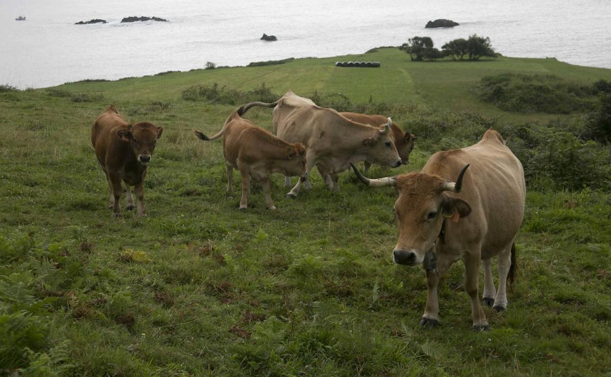 Una encuesta para perfilar el futuro del campo