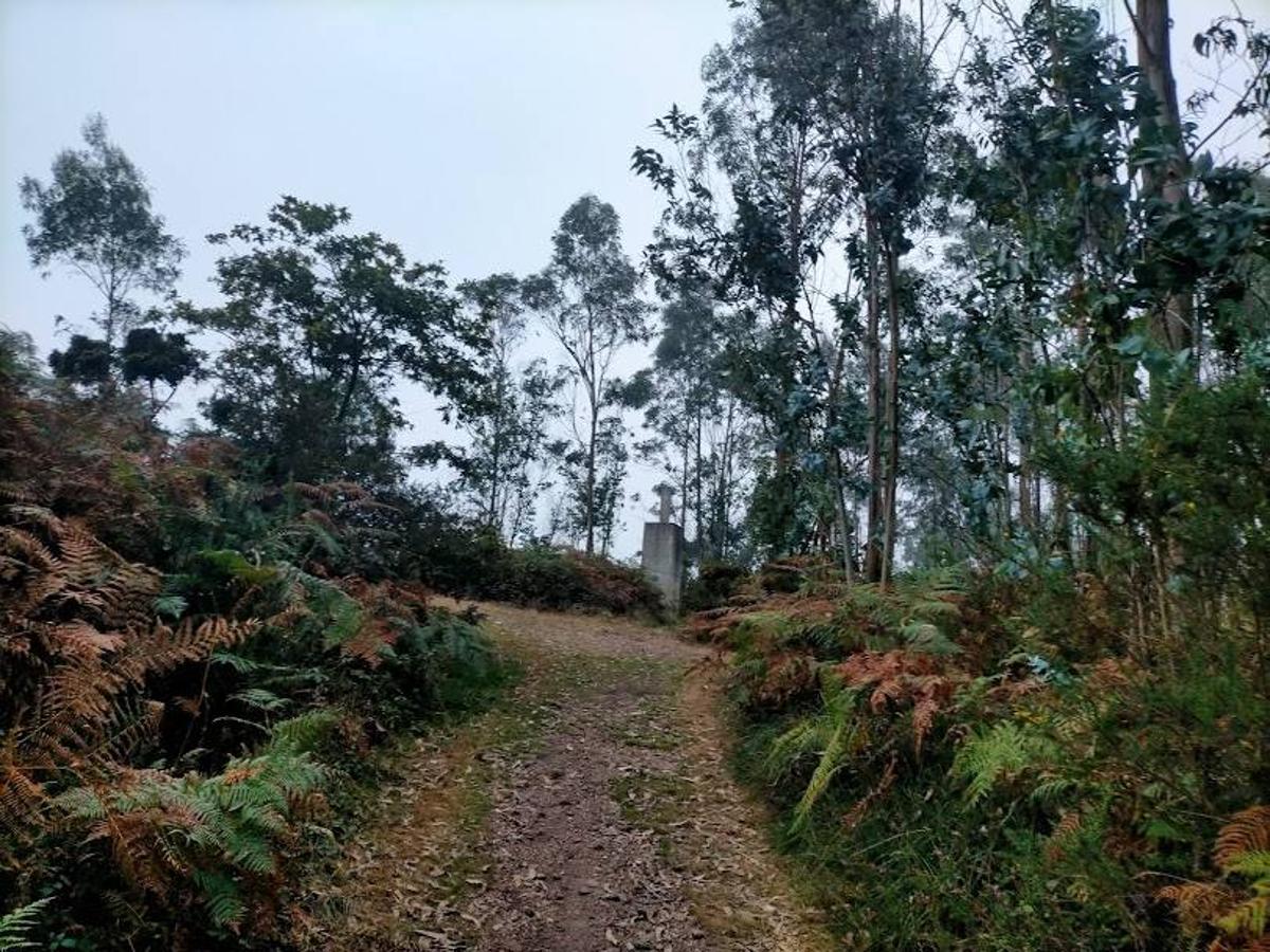 Fotos: Ruta por la Minona hasta el Picu Santufirme