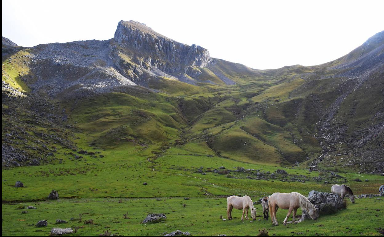 Tres rutas para disfrutar del senderismo y la montaña este fin de semana