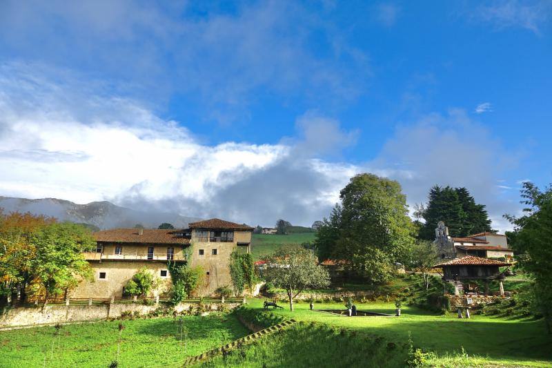 El Grupo Nature planea producir cerca de 18.000 litros de vino parragués en Huexes y en 2021 ampliará su oferta con visitas guiadas a los viñedos y catas.