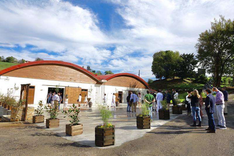 El Grupo Nature planea producir cerca de 18.000 litros de vino parragués en Huexes y en 2021 ampliará su oferta con visitas guiadas a los viñedos y catas.