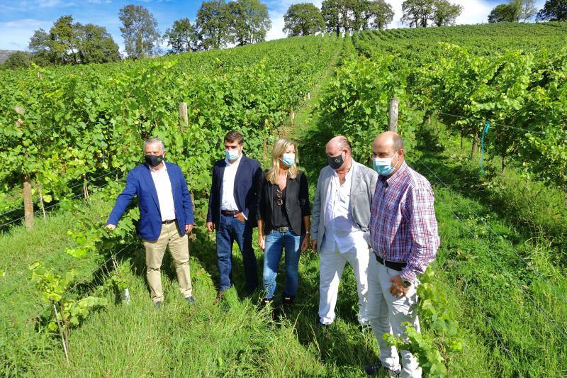 El Grupo Nature planea producir cerca de 18.000 litros de vino parragués en Huexes y en 2021 ampliará su oferta con visitas guiadas a los viñedos y catas.