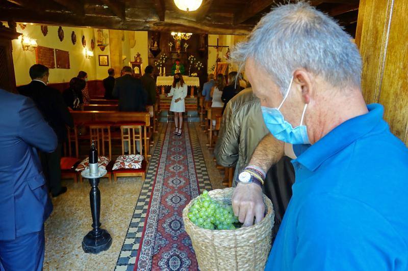 El Grupo Nature planea producir cerca de 18.000 litros de vino parragués en Huexes y en 2021 ampliará su oferta con visitas guiadas a los viñedos y catas.