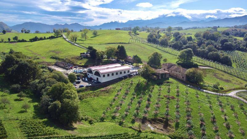 El Grupo Nature planea producir cerca de 18.000 litros de vino parragués en Huexes y en 2021 ampliará su oferta con visitas guiadas a los viñedos y catas.