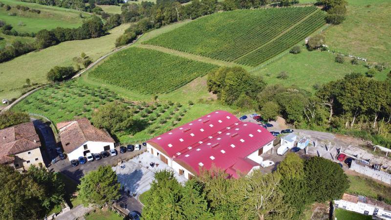 El Grupo Nature planea producir cerca de 18.000 litros de vino parragués en Huexes y en 2021 ampliará su oferta con visitas guiadas a los viñedos y catas.