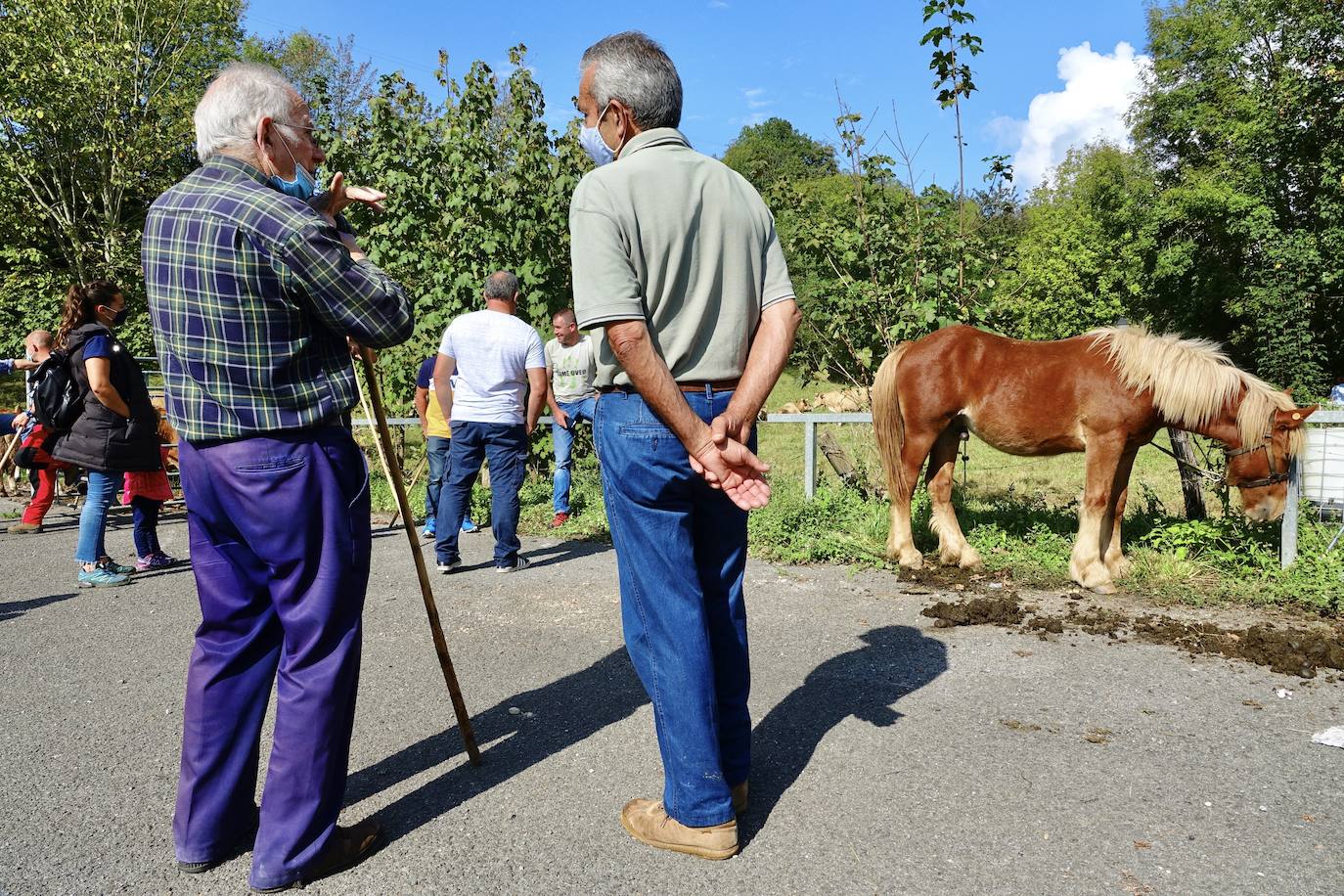 La feria de San Mateo, en Benia de Onís, inauguró este lunes la temporada 'post covid' de unas de las citas más esperadas por parte de los ganaderos de la zona. Lamentaron la caída de demanda y de precios en una jornada con apenas un centenar de animales.