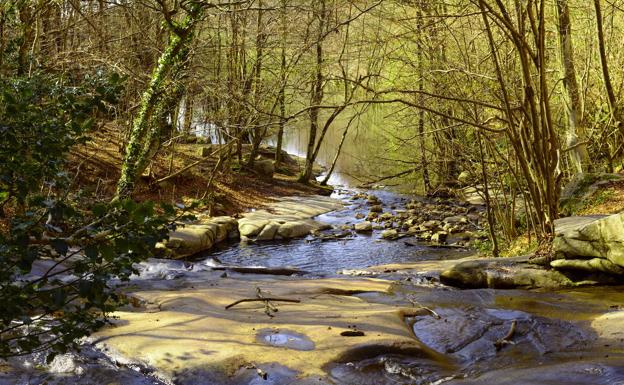 Suspendido el campeonato de España ultra de Carreras por Montaña a causa del coronavirus 