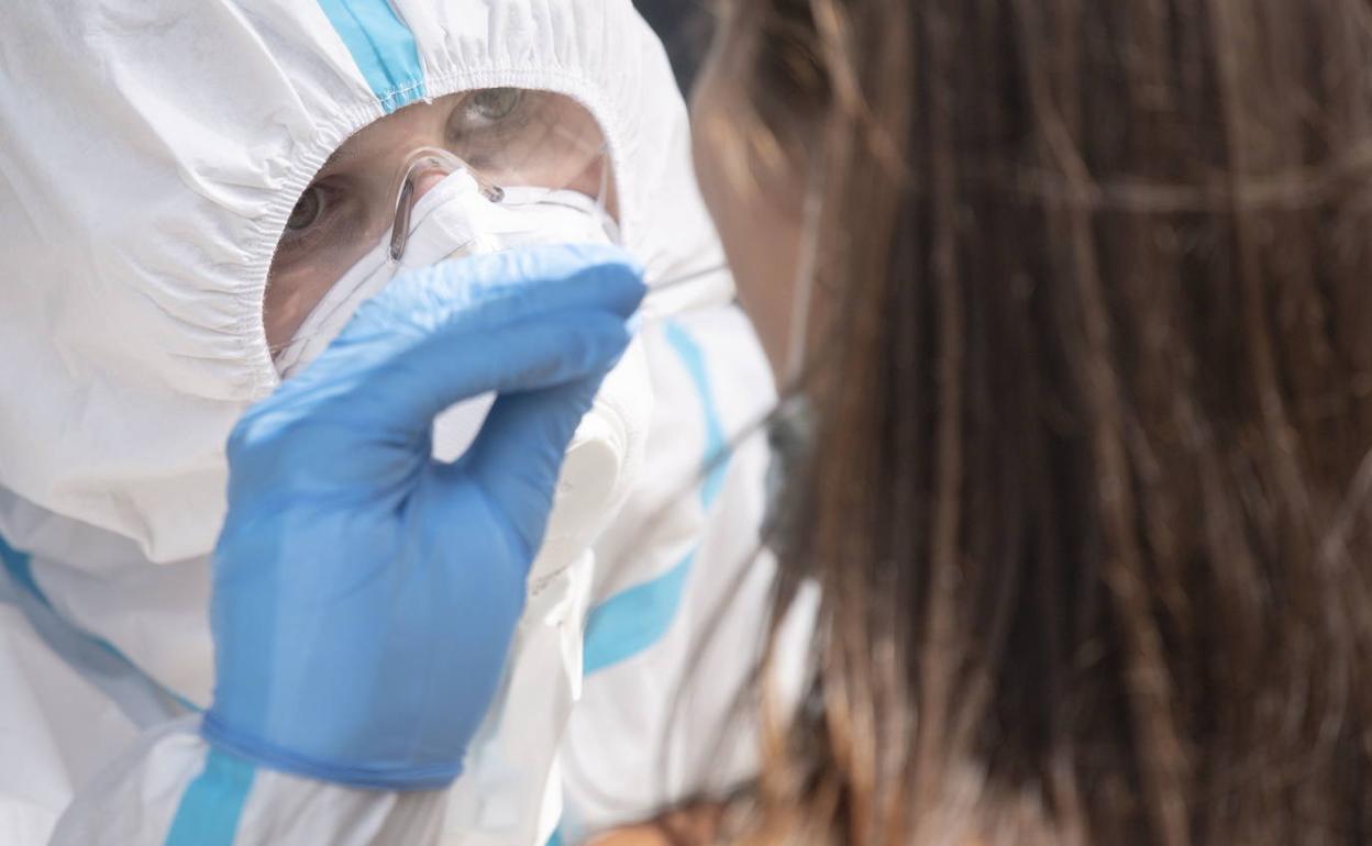 Los test o pruebas para detectar el coronavirus o los anticuerpos en los pacientes son muy variados y su aplicación depende de la urgencia o lo que se quiera saber a través de ellos. 