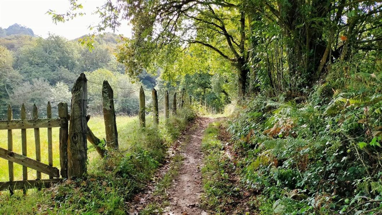 Fotos: Un paseo otoñal hasta el Picu Castiello