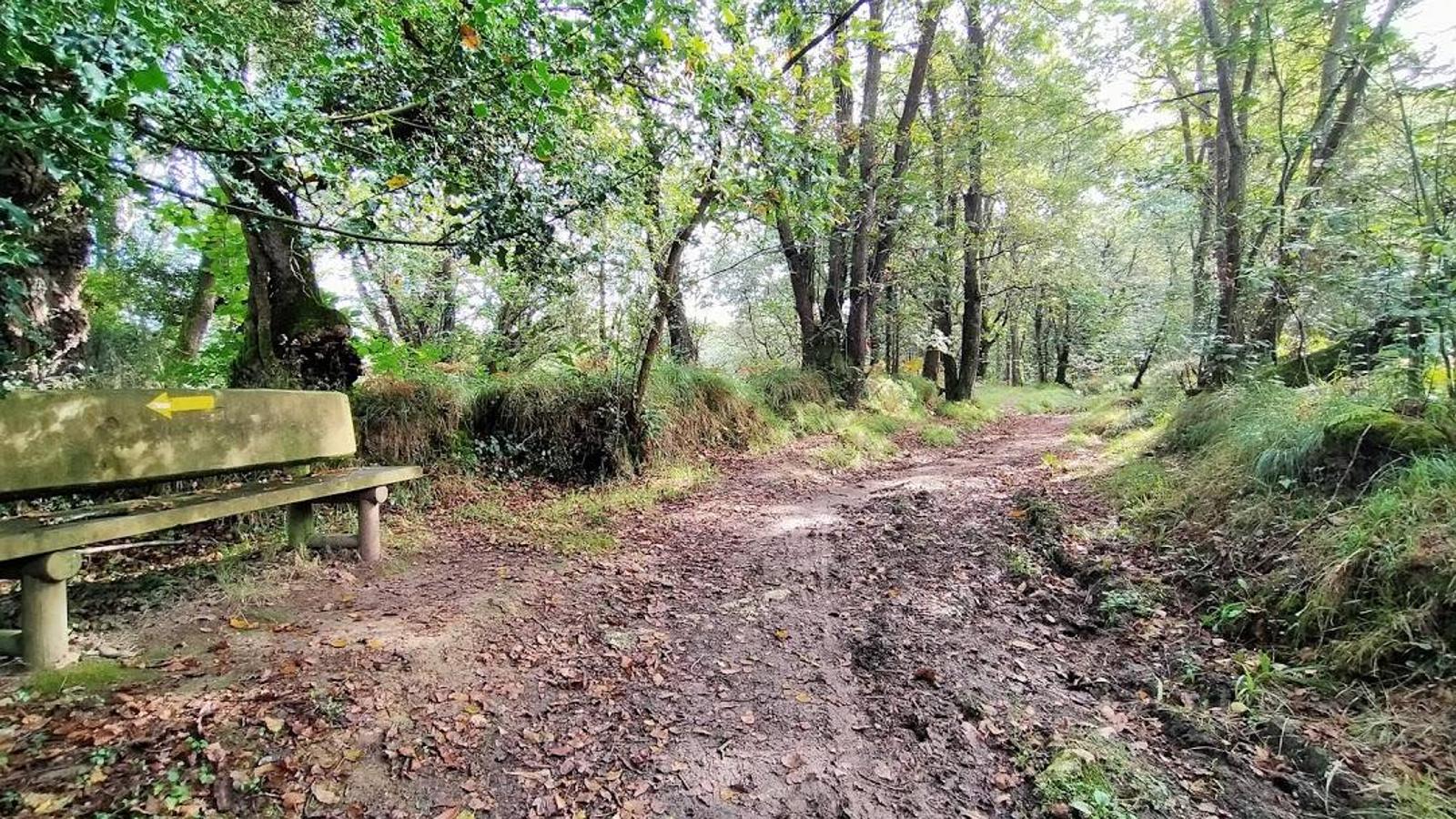 Fotos: Un paseo otoñal hasta el Picu Castiello