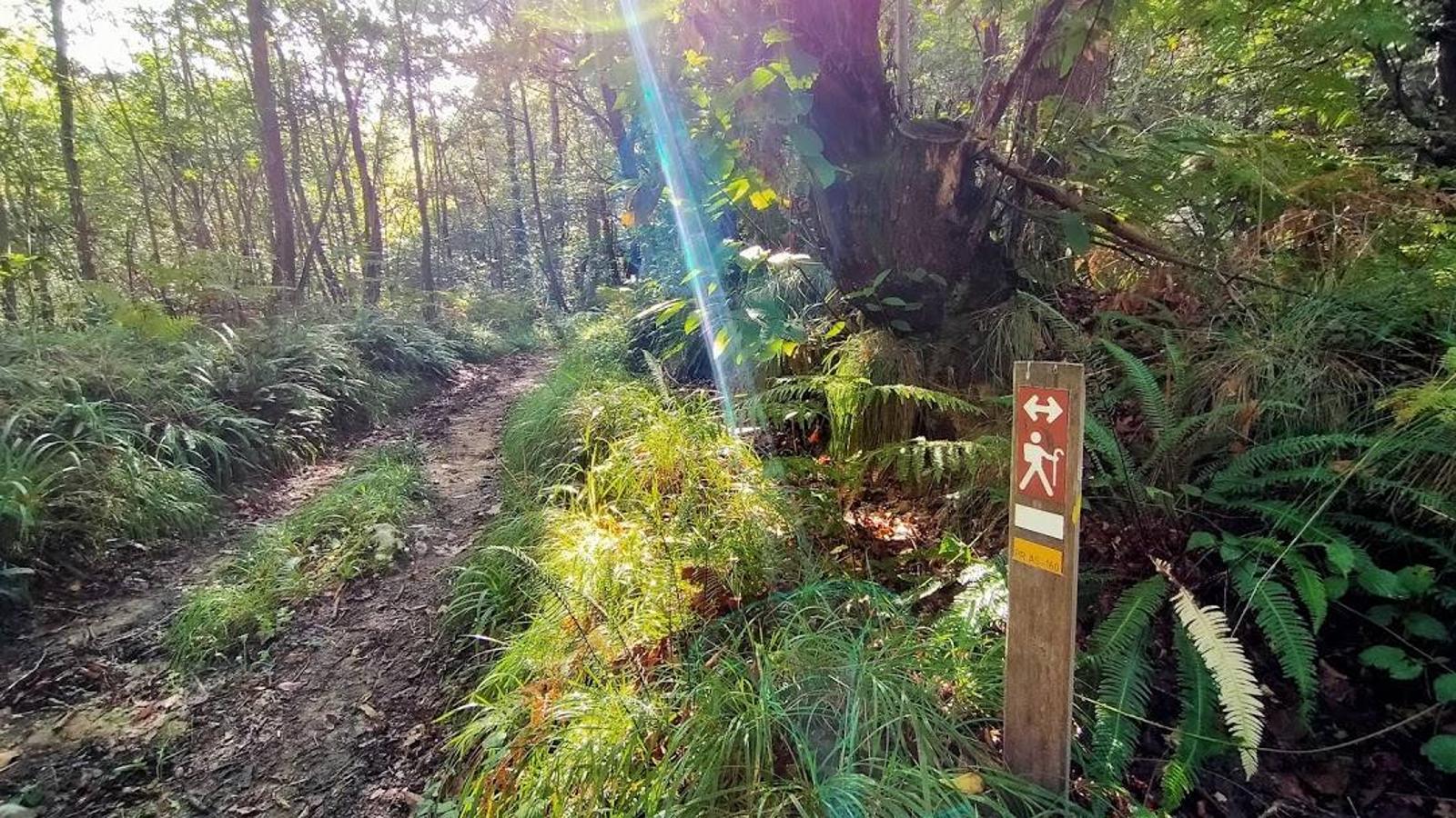 Fotos: Un paseo otoñal hasta el Picu Castiello