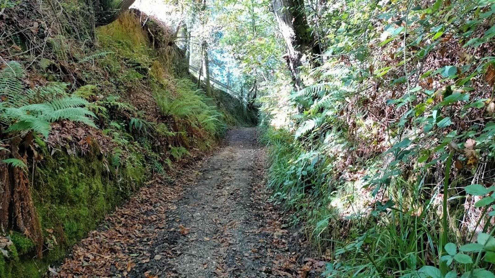 Fotos: Un paseo otoñal hasta el Picu Castiello