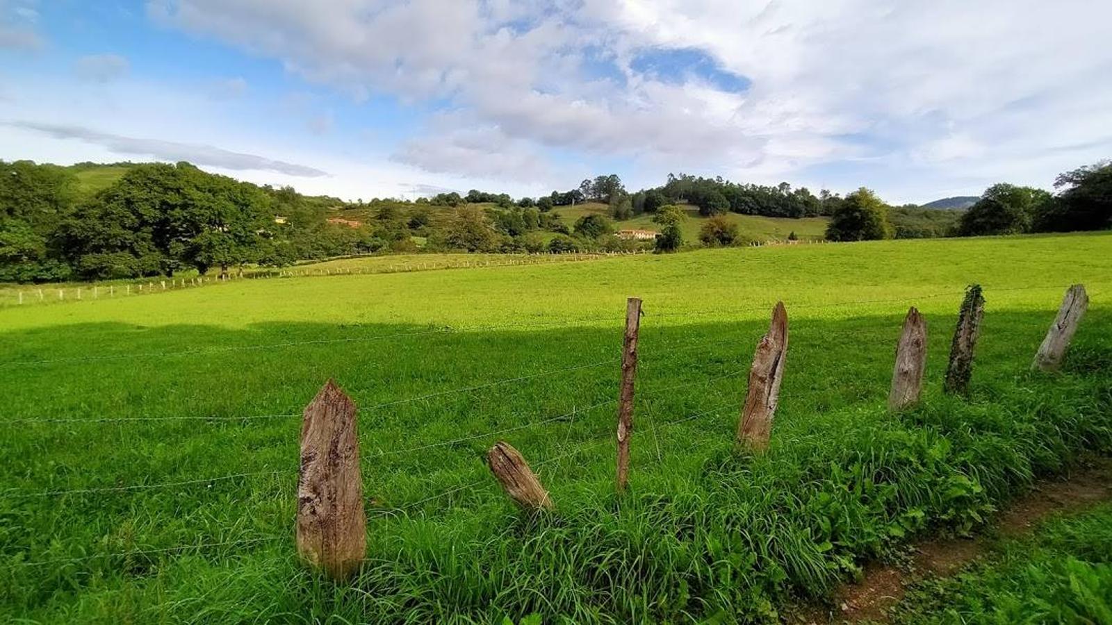 Fotos: Un paseo otoñal hasta el Picu Castiello