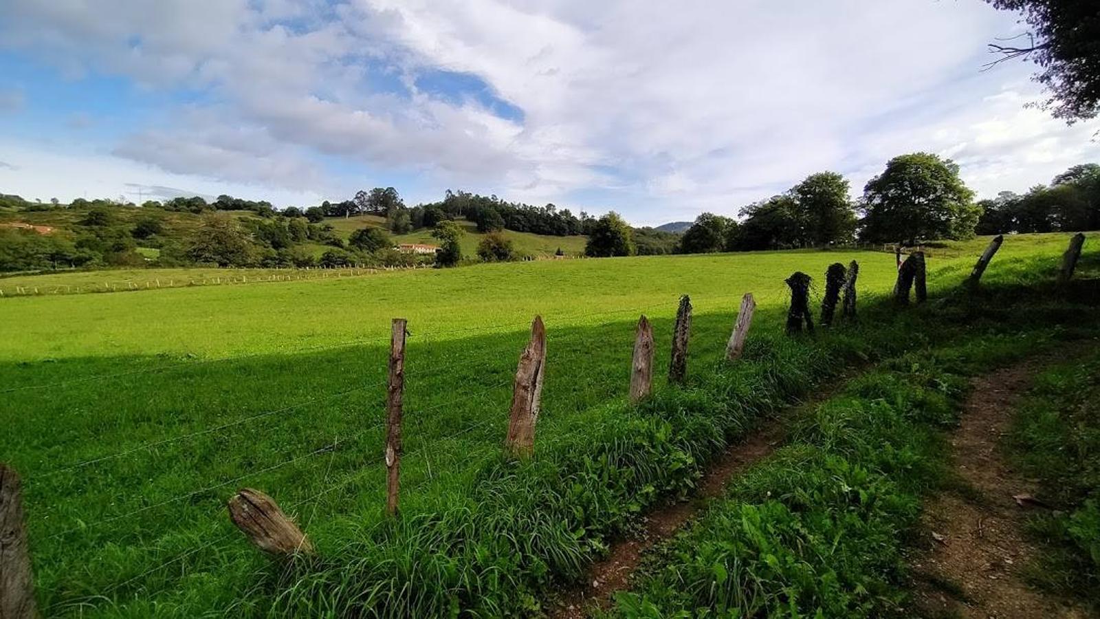 Fotos: Un paseo otoñal hasta el Picu Castiello