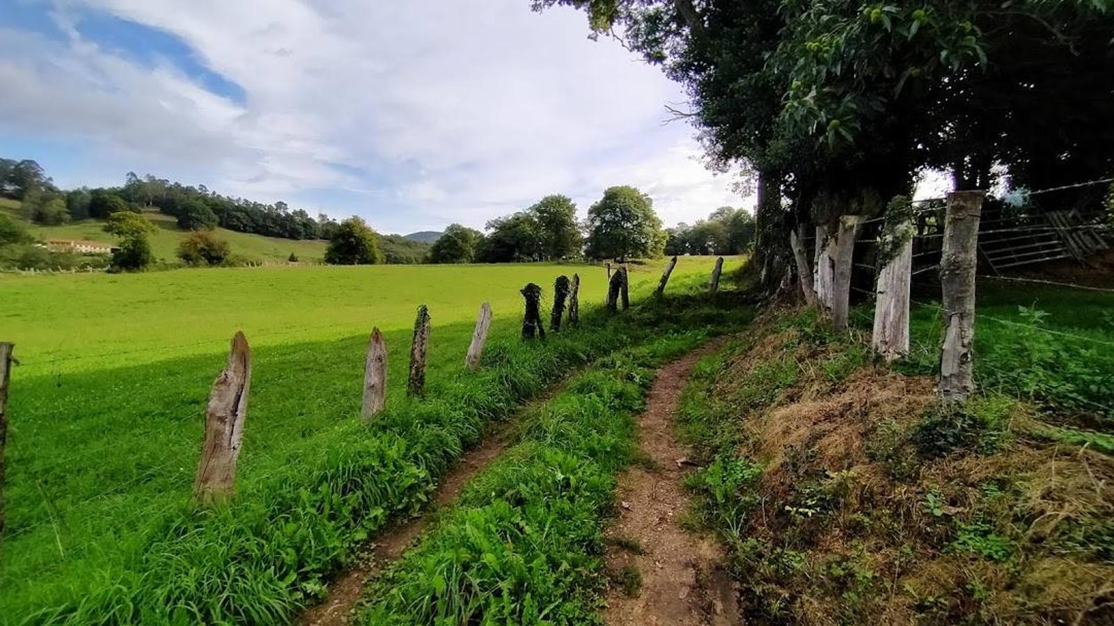 Fotos: Un paseo otoñal hasta el Picu Castiello