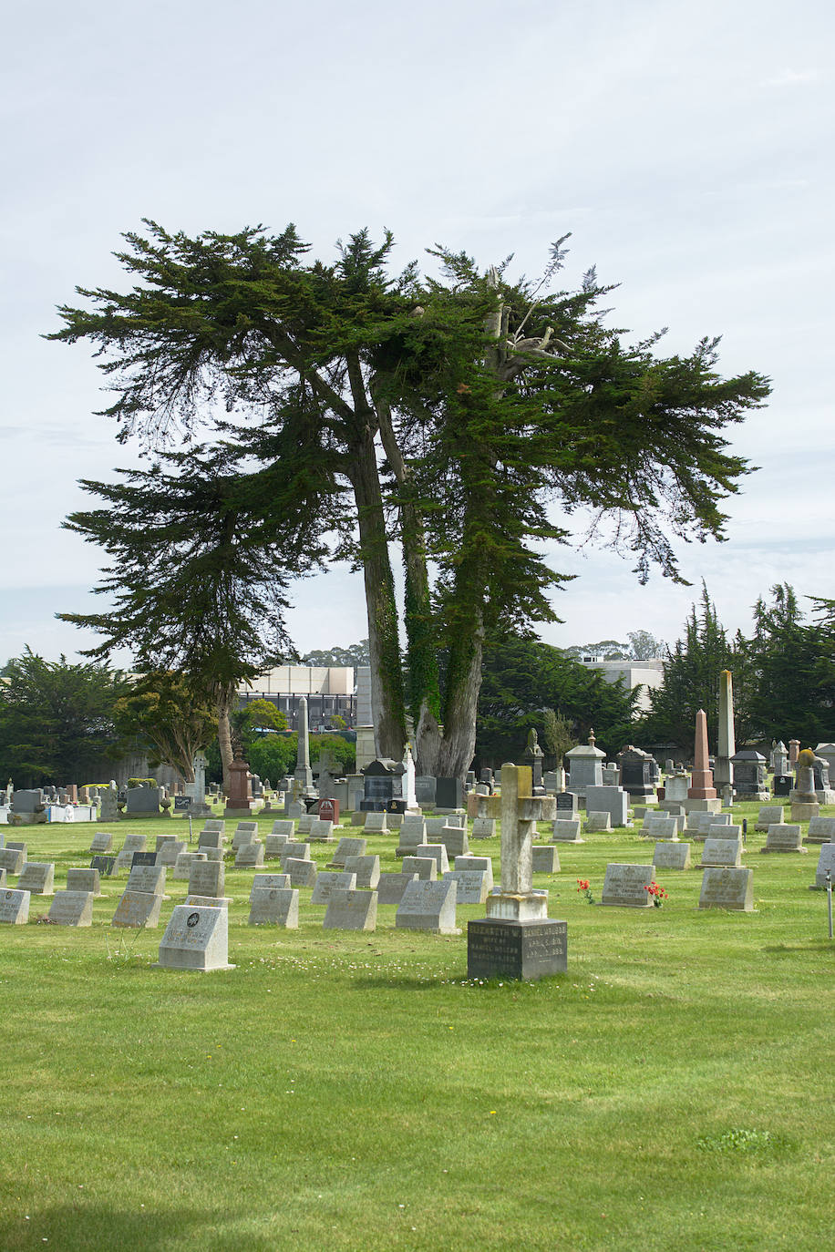 Colma, la ciudad de los cementerios. A diferencia de la anterior, la ciudad de Colma, en California, no tiene el camposanto más grande, pero alberga un total de 17 cementerios dentro de sus fronteras. Esto hace que el número de fallecidos supere al de los vivos. 