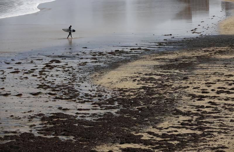 La pleamar de las 6.54 horas, de 3,83 metros, lanzó numerosas algas al paseo del Muro