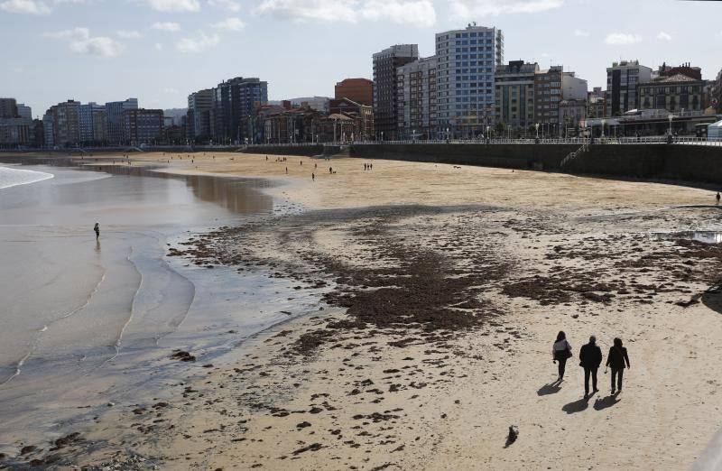La pleamar de las 6.54 horas, de 3,83 metros, lanzó numerosas algas al paseo del Muro
