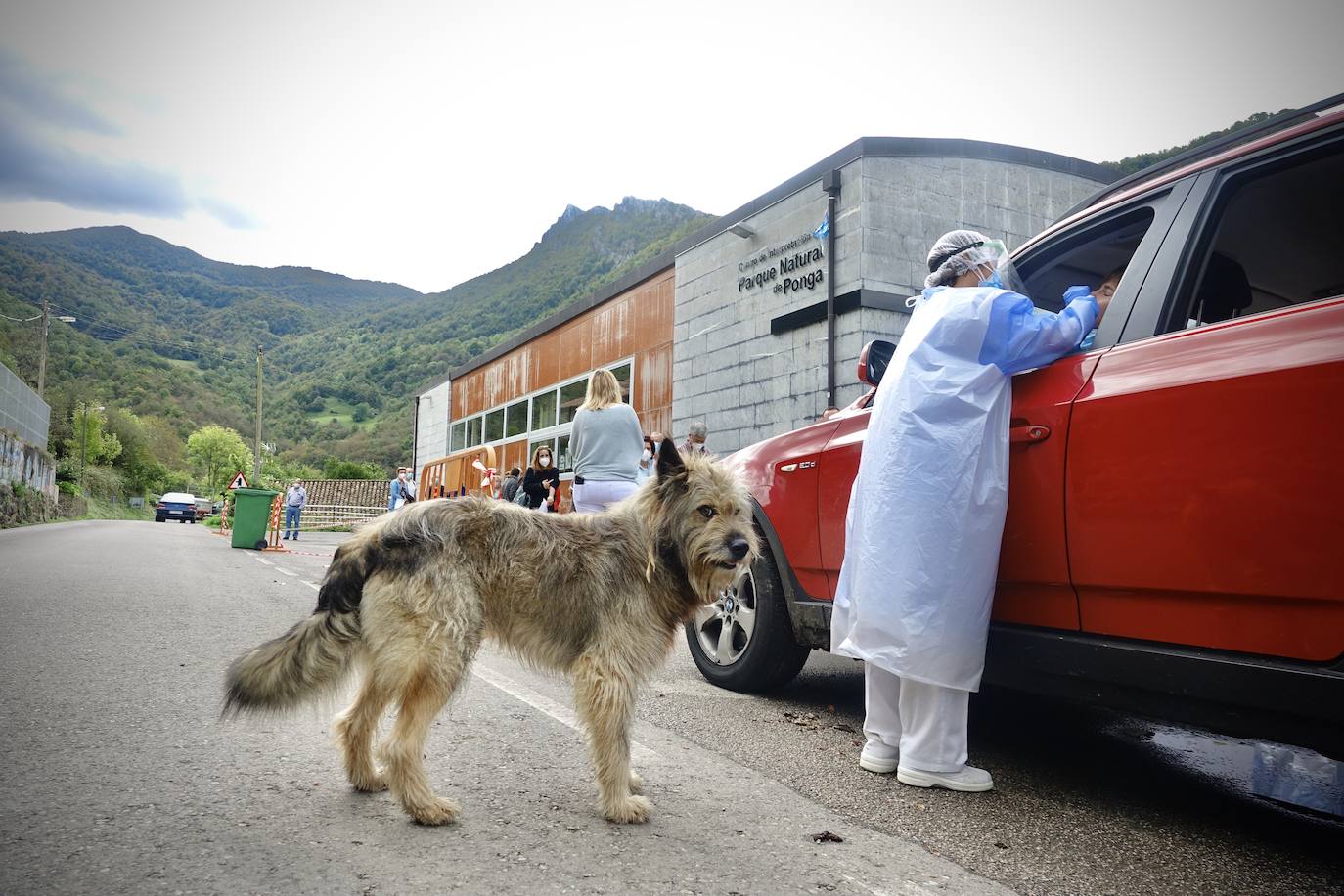 Después de que este lunes se decretara la alerta naranja, los vecinos de Ponga fueron llamados a realizar las pruebas PCR para controlar el virus en el concejo.