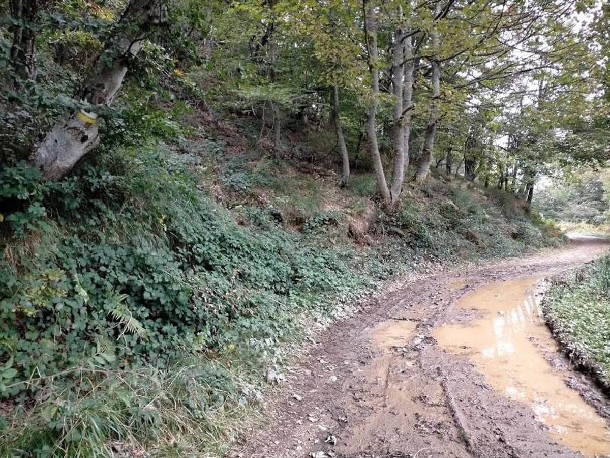 Fotos: Ruta por el hayedo de Montegrande hasta la Cascada del Xiblu