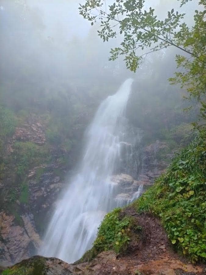 Fotos: Ruta por el hayedo de Montegrande hasta la Cascada del Xiblu