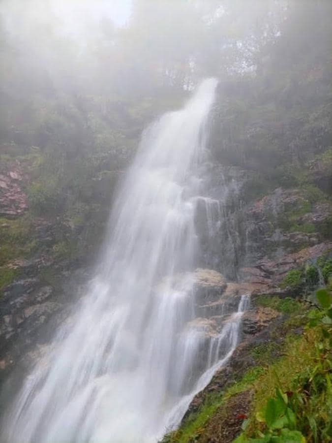 Fotos: Ruta por el hayedo de Montegrande hasta la Cascada del Xiblu