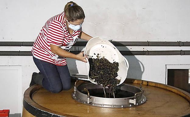 Imagen principal - La uva despalillada, la pisada y algún racimo entero en una tina y empieza la fermentación. Una vez fermentados, prensados y trasegados, el vino ya se embotella y se deja 'dormir'. Todas las botellas se corchan en la propia bodega de forma manual y antes de ponerse a la venta. se etiquetan. El sello de la DOP se pone a mano uno a uno.