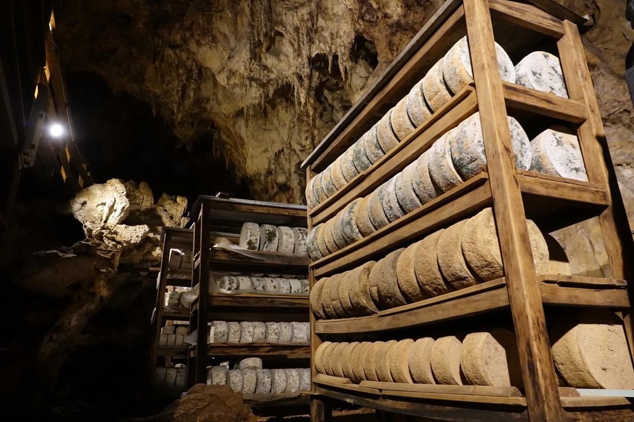 Quesos de Gamonéu durante la fase de maduración en la cueva Oscura, en el concejo de Onís. 