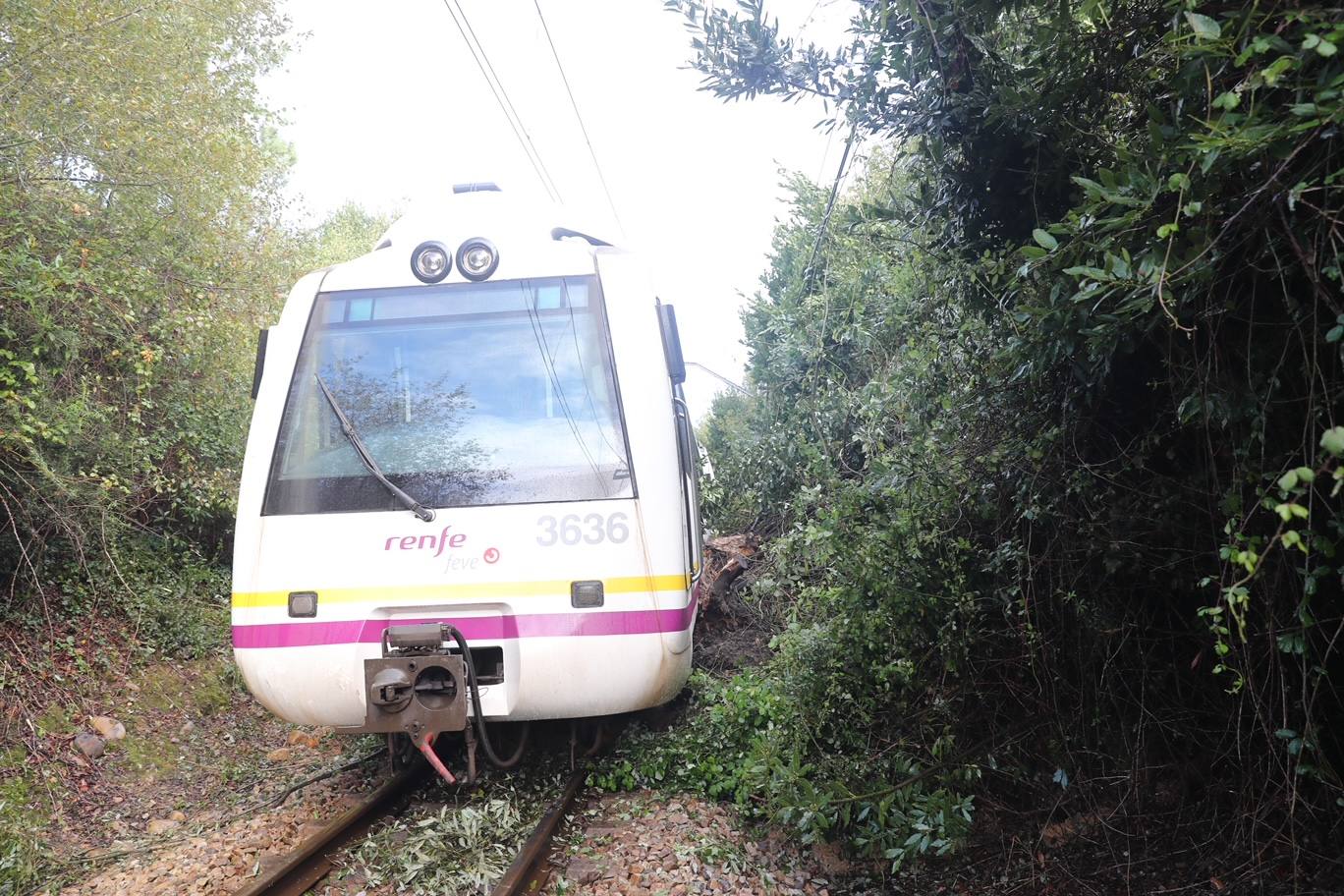 Un tren que circulaba este miércoles a las 8.58 entre Soto del Barco y Pravia ha sufrido un descarrilamiento al encontrarse en la vía con un desprendimiento de tierras. En la unidad iban 19 viajeros y personal de servicio de Feve. Según informan desde el Gobierno del Principado en el accidente han resultado heridas tres personas, dos leves y otra con pronóstico reservado. 