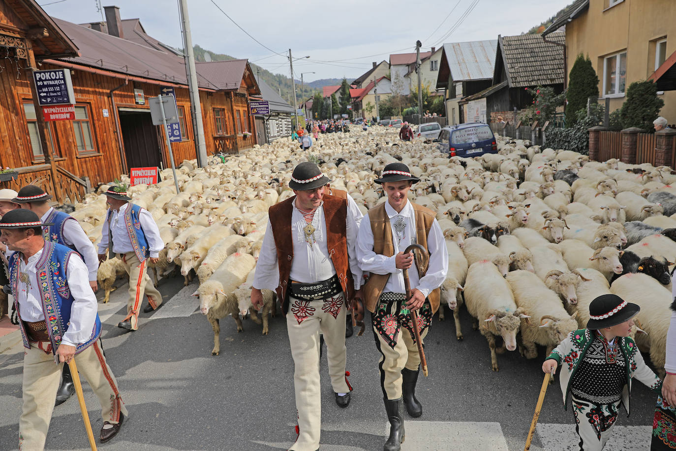 Pastores se dirigen, junto a sus ovejas, a los montes Tatras, en Polonia. 