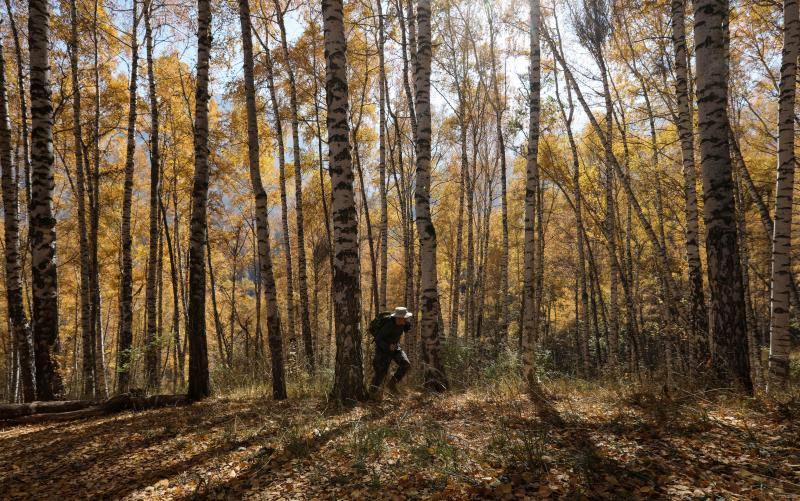 Un soleado día de otoño en un bosque en las afueras de Almaty, Kazajstán