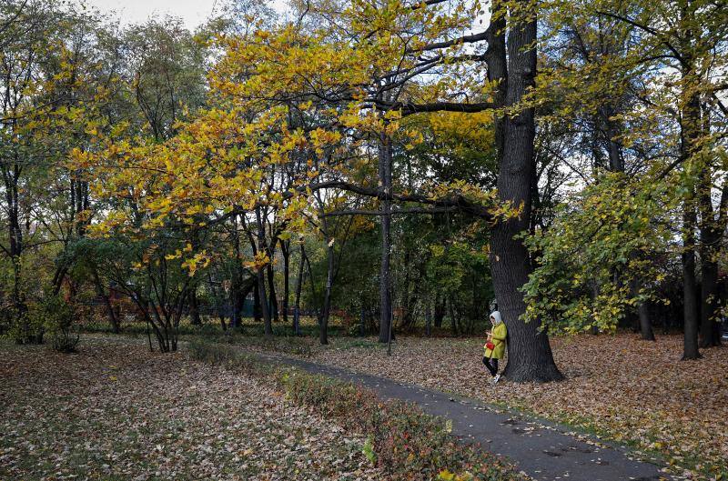 Un parque lleno de hojas de colores otoñales en Moscú, Rusia