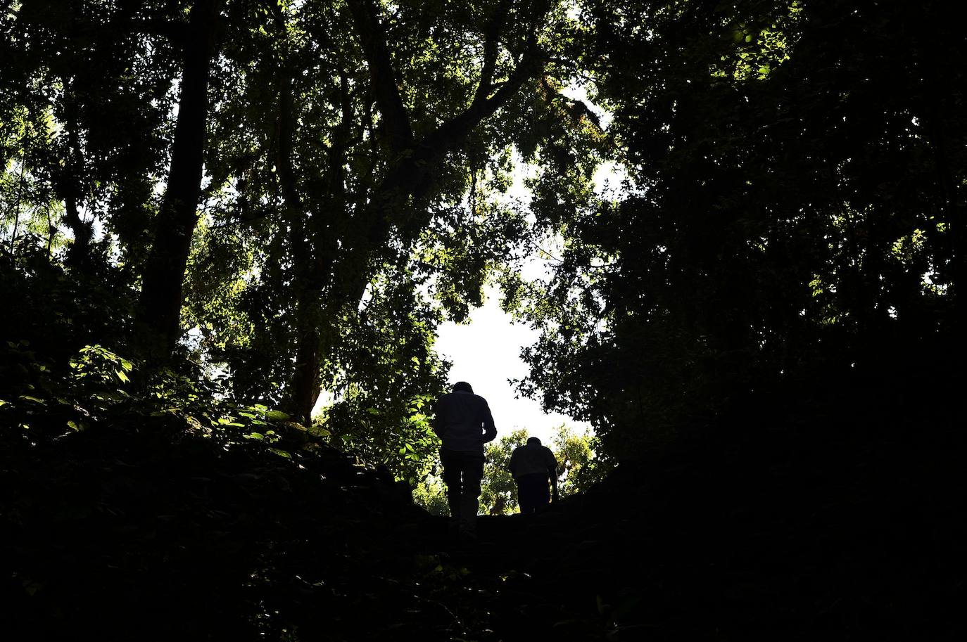 La escalinata de los jeroglíficos es lo que todos quieren visitar del Parque Arqueológico de Copán, un patrimonio mundial de los mayas al oeste de Honduras. Tiene 63 escalones y una altura de 12 metros, se levanta en un bosque localizado a unos 300 km al noroeste de Tegucigalpa. La UNESCO la declaró Patrimonio Mundial en 1980.