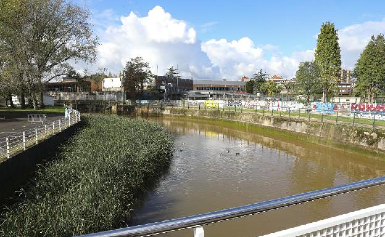 Estado actual del anillo navegable del río Piles..